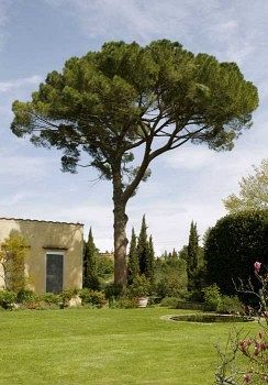 Villa Malavolta Scandicci Buitenkant foto